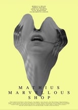 Poster de la película Mathius Marvellous Shop