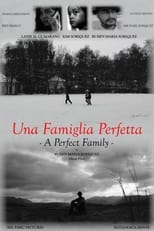 Poster de la película A Perfect Family