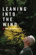 Poster de la película Leaning Into the Wind: Andy Goldsworthy