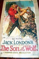 Poster de la película The Son of the Wolf