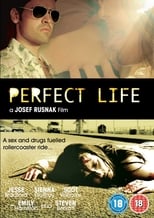 Poster de la película Perfect Life