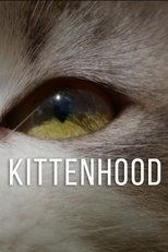 Poster de la película Kittenhood