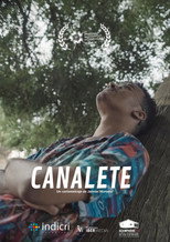 Poster de la película Canalete