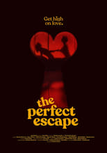 Poster de la película The Perfect Escape