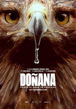 Poster de la película Doñana