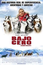 Poster de la película Bajo cero