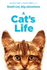Poster de la película A Cat's Life
