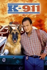 Poster de la película K-911