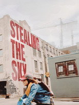 Poster de la película Stealing the Sky