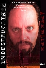 Poster de la película Indestructible: Afterlife