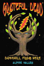 Poster de la película Grateful Dead: Downhill from Here