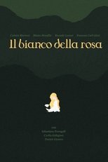 Poster de la película il bianco della rosa