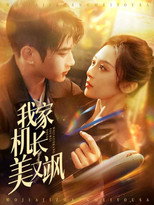 Poster de la serie 我家机长美又飒