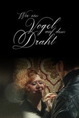 Poster de la película Like a Bird on a Wire