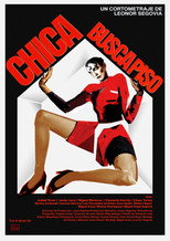 Poster de la película CHICA BUSCA PISO