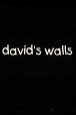 Poster de la película David's Walls