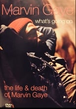 Poster de la película What's Going On: The Life and Death of Marvin Gaye