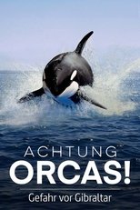 Poster de la película Watch Out for Orcas! Danger Off Gibraltar?