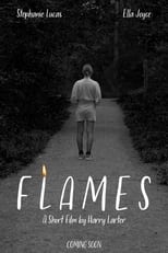 Poster de la película Flames