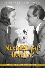 Poster de la película Neviděli jste Bobíka?