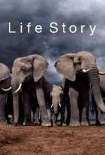 Poster de la serie Life Story