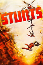 Poster de la película Stunts