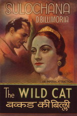 Poster de la película Wildcat of Bombay
