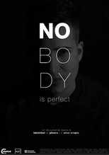 Poster de la película Nobody Is Perfect