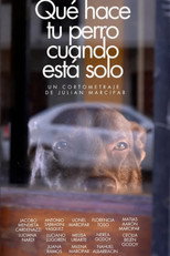 Poster de la película Qué hace tu perro cuando está solo
