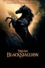 Poster de la película Young Black Stallion