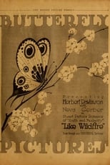Poster de la película Like Wildfire