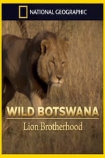 Poster de la película Lion Brotherhood