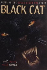 Poster de la película Black Cat