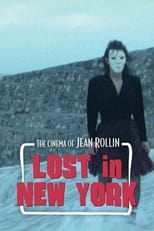 Poster de la película Lost in New York