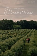 Poster de la película Blueberries