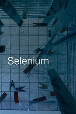 Poster de la película Selenium