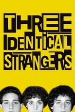 Poster de la película Three Identical Strangers