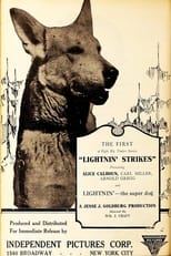 Poster de la película Lightnin' Strikes