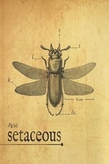 Poster de la película Setaceous