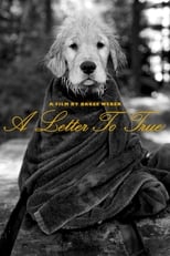 Poster de la película A Letter to True