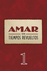 Amar en tiempos revueltos