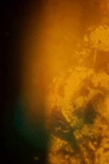 Poster de la película Particles