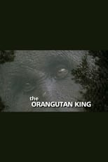 Poster de la película The Orangutan King