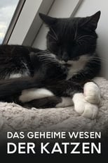 Poster de la película Das geheime Wesen der Katzen