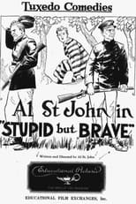 Poster de la película Stupid, but Brave