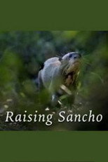 Poster de la película Raising Sancho