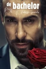 Poster de la serie De Bachelor