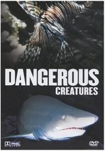 Poster de la película Dangerous Creatures