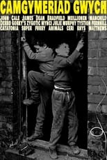 Poster de la película Camgymeriad Gwych