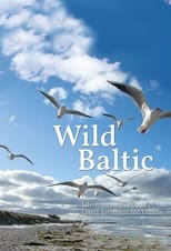 Poster de la serie Wild Baltic